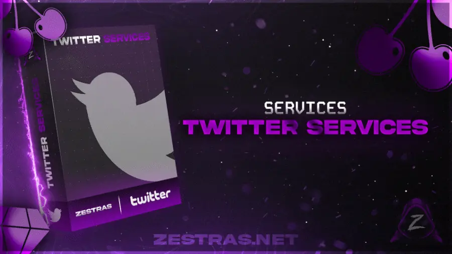 Twitter Followers [ X ]